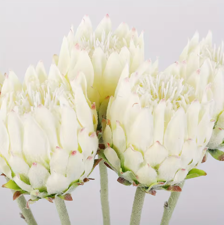 Konstgjorda Tistelblommor set