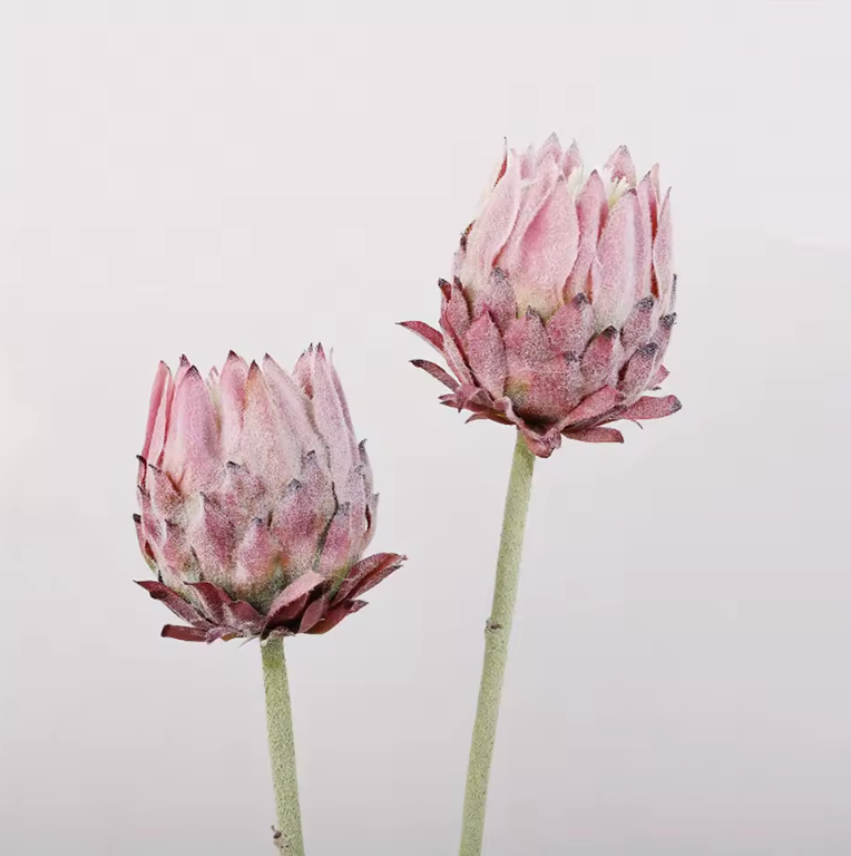 Konstgjorda Tistelblommor set