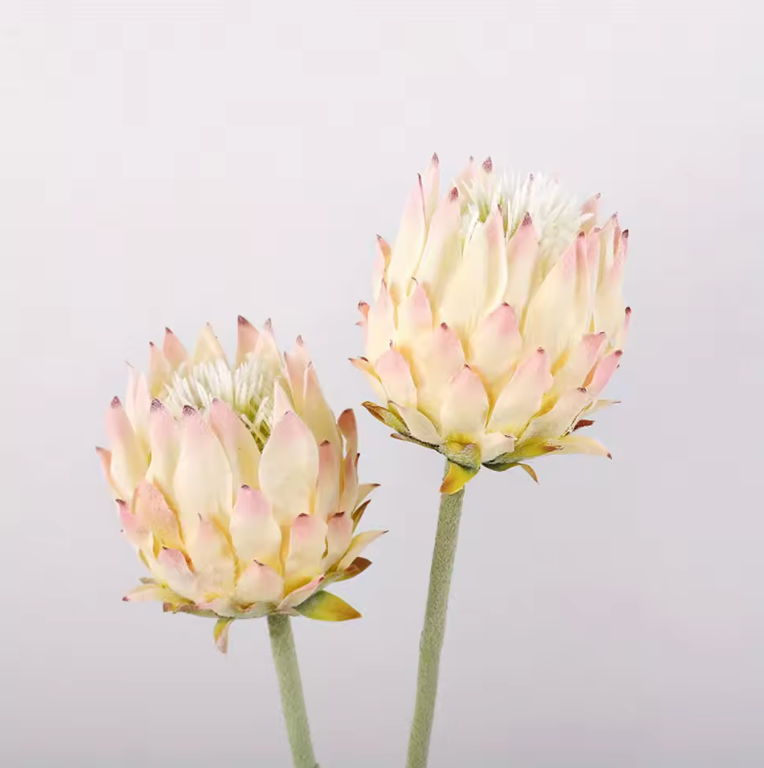Konstgjorda Tistelblommor set