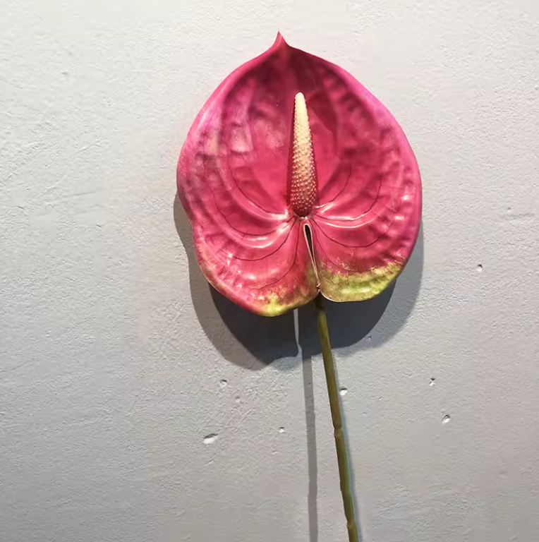 Konstgjorda Anthurium Blomma Goose Palm