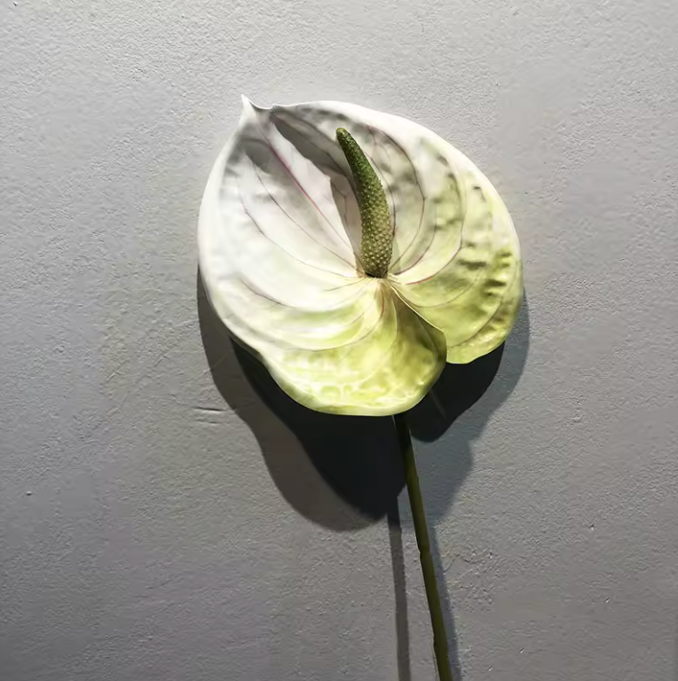 Konstgjorda Anthurium Blomma Goose Palm