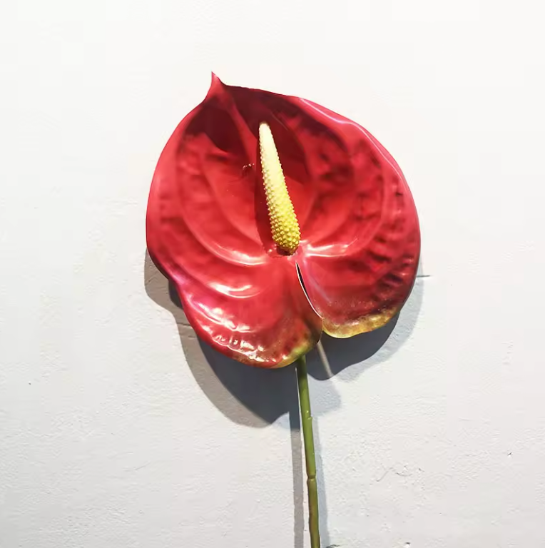 Konstgjorda Anthurium Blomma Goose Palm