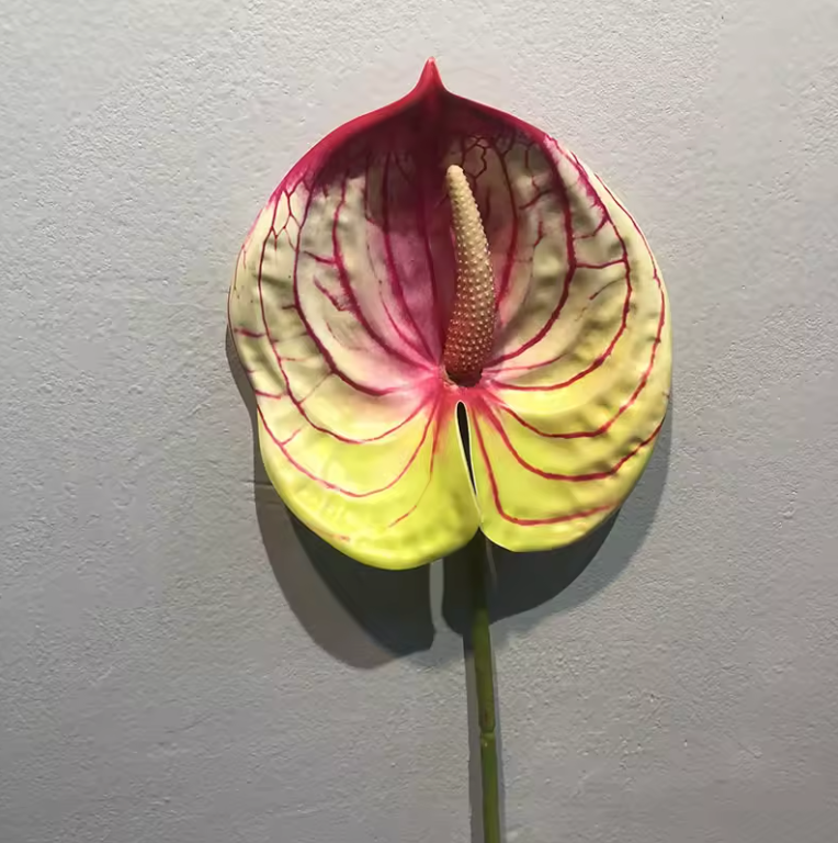 Konstgjorda Anthurium Blomma Goose Palm