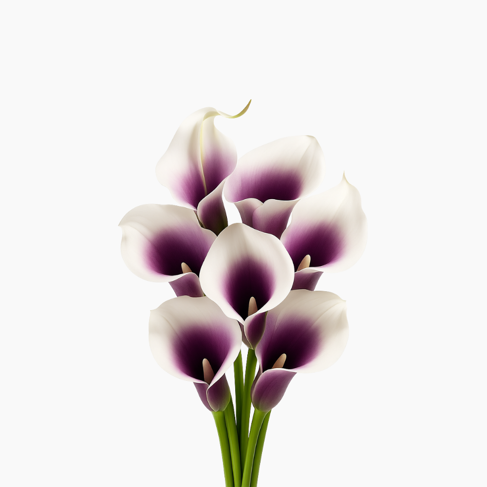 FLORISTA Konstgjorda Liljor 10-pack